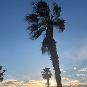 Meet your Posher, Bianca